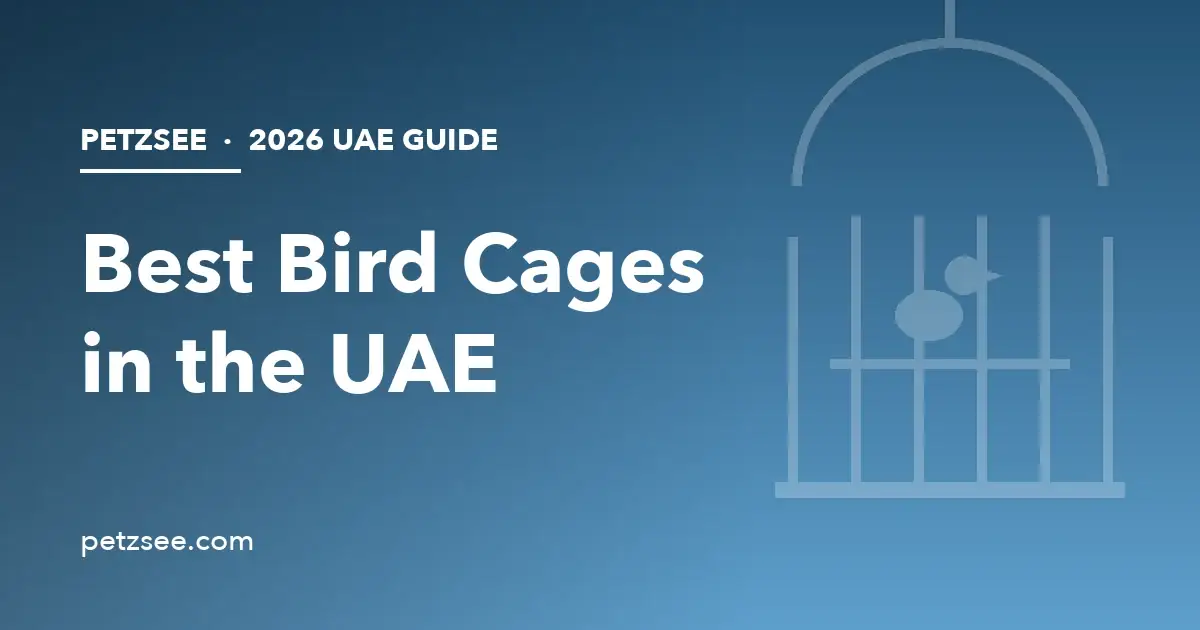 Best bird cages in UAE 2026 guide cover with birdcage illustration