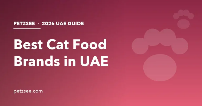 Best cat food brands in UAE 2026 guide cover with paw print illustration