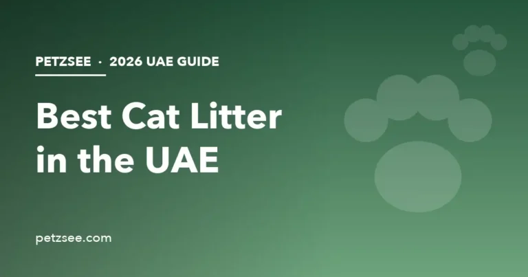 Best cat litter in UAE 2026 guide cover with paw print illustration