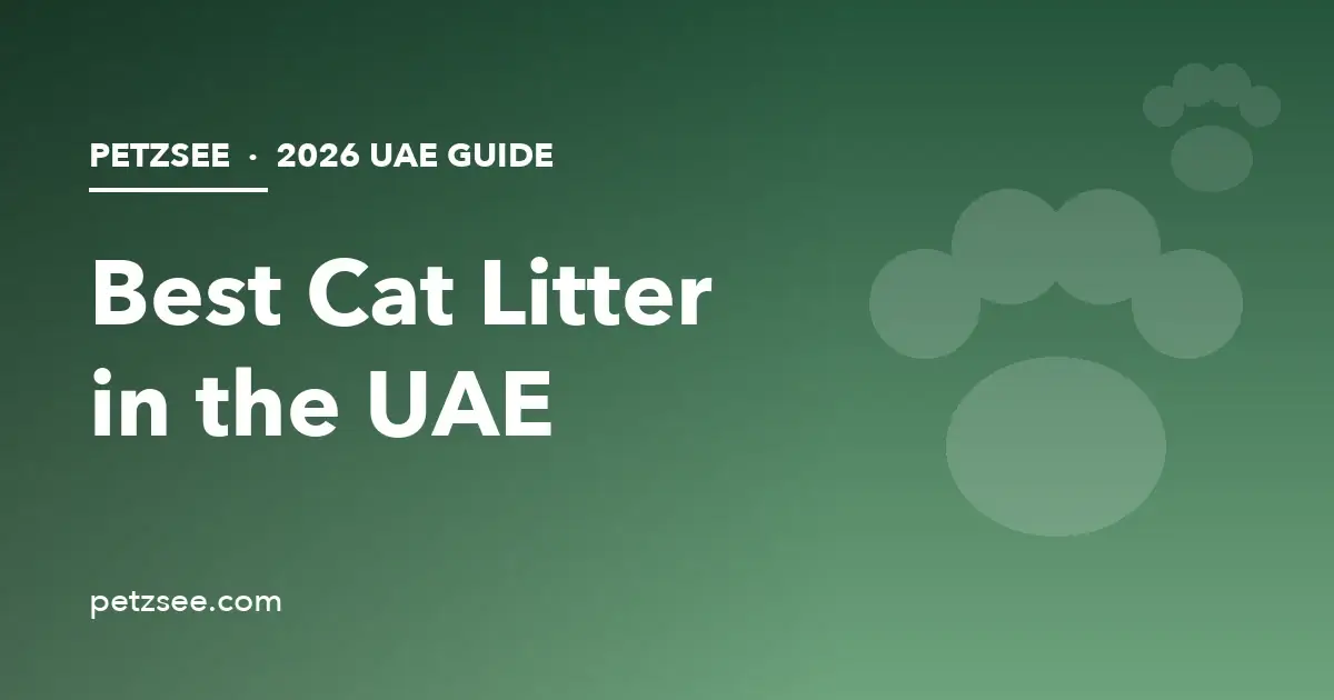Best cat litter in UAE 2026 guide cover with paw print illustration