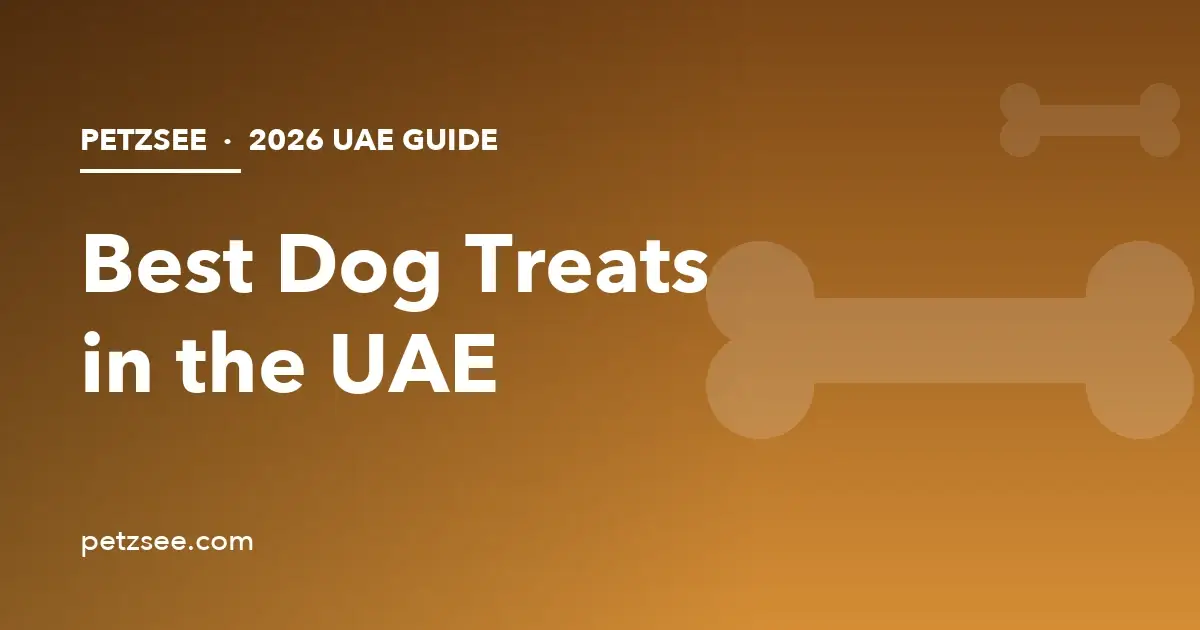 Best dog treats in UAE 2026 guide cover with bone illustration