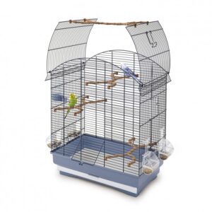 IMAC AGATA-Cage for Canaries, Parakeets and Exotic birds[Dimension - 58x33x62.5cm]